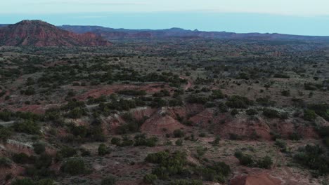 manada de bisontes en un paisaje de cañón épico por la noche