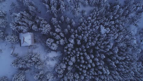 Vista-Aérea-Vertical-De-Una-Casa-En-Medio-De-Un-Bosque-De-Pinos-Cubierto-De-Nieve-Al-Atardecer