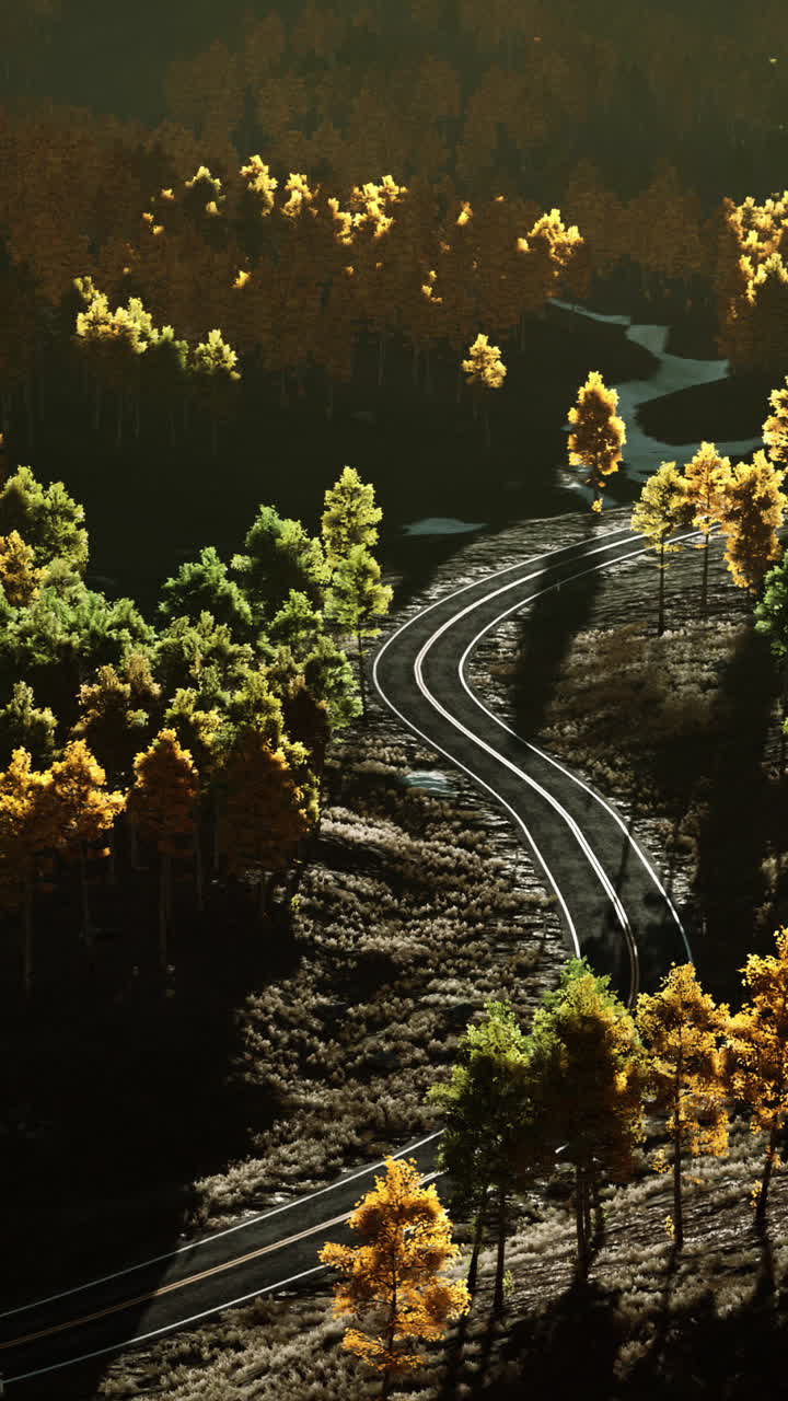 Winding Road Through Autumn Forest