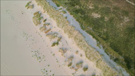vista aérea de arriba hacia abajo de la hierba y la arena en la playa de los monstruos