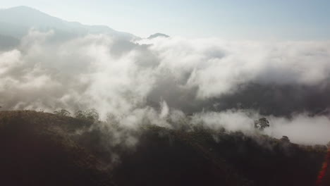 flying-through-the-clouds-during-sunset:-aerial-view-traveling-in-sea-of-​​clouds-in-a-landscape-of-large-forests