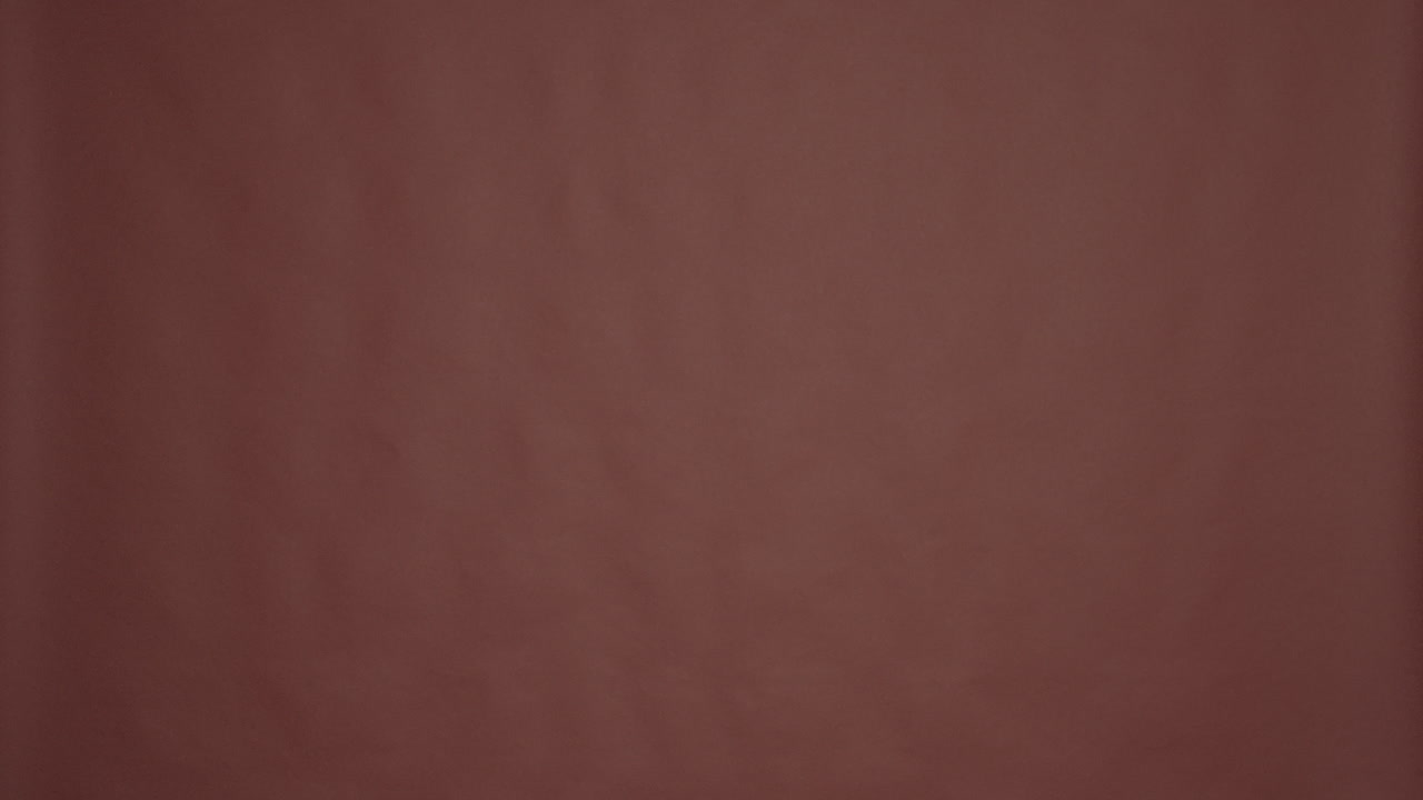 Cheerful indian person leaving on vacation trip with suitcase