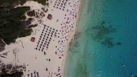 Cala-agulla-beach-with-vibrant-umbrellas,-clear-water,-and-parked-cars,-aerial-view