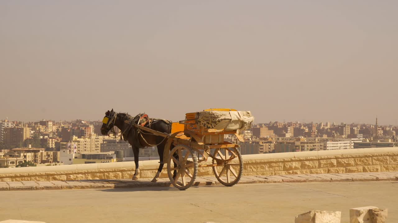 Carrozza trainata da cavalli in un paesaggio urbano