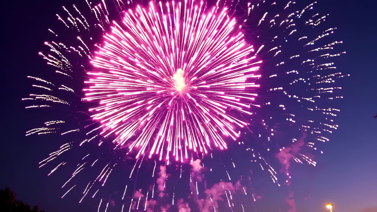 Beautiful Fireworks Display in the Night Sky