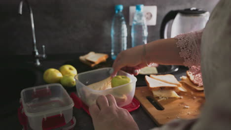Caregiver places sandwich into lunch container in kitchen with apples and water bottles nearby, preparing school meal with care in early morning, emphasizing nutrition, love, and daily family routine