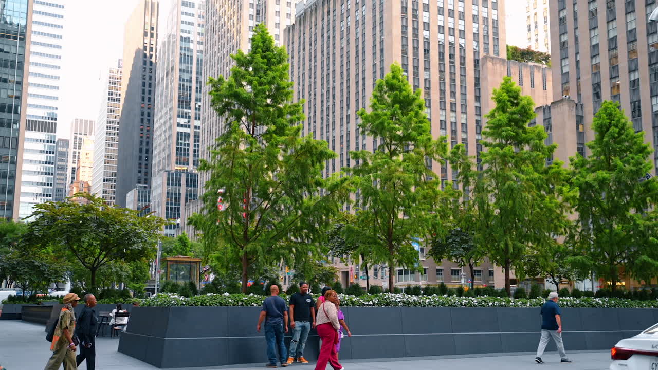 Nova York, EUA, 8 de outubro de 2025: belas árvores verdes plantadas nas selvas urbanas. Oásis de vegetação entre os arranha-céus de Nova York, EUA
