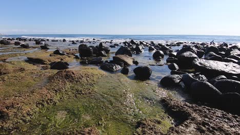 tide pools begin to form on the beach gulf of california at rocky point, puerto peñasco, mexico