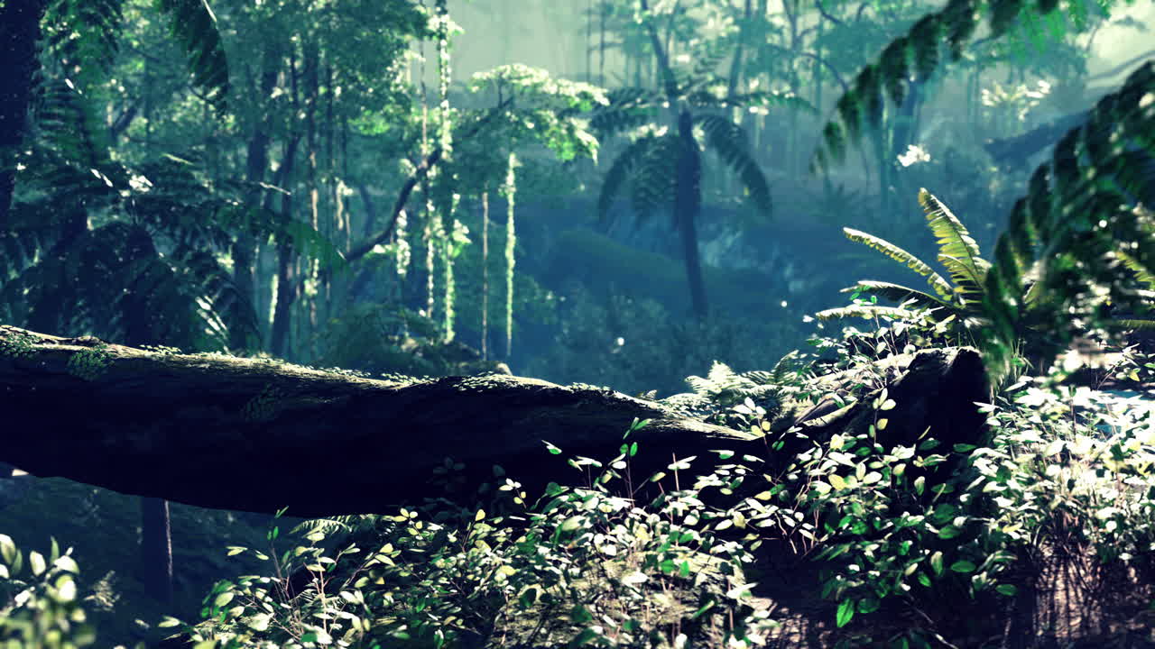 말레이시아의 정글에서