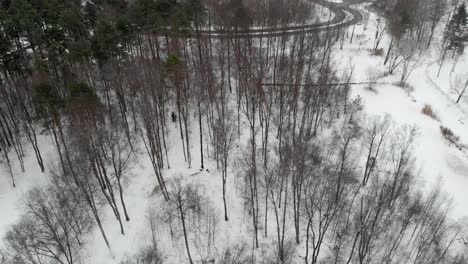 Karge-Bäume-In-Winterlandschaft,-Wald-Neben-Straße,-Umlaufende-Antenne