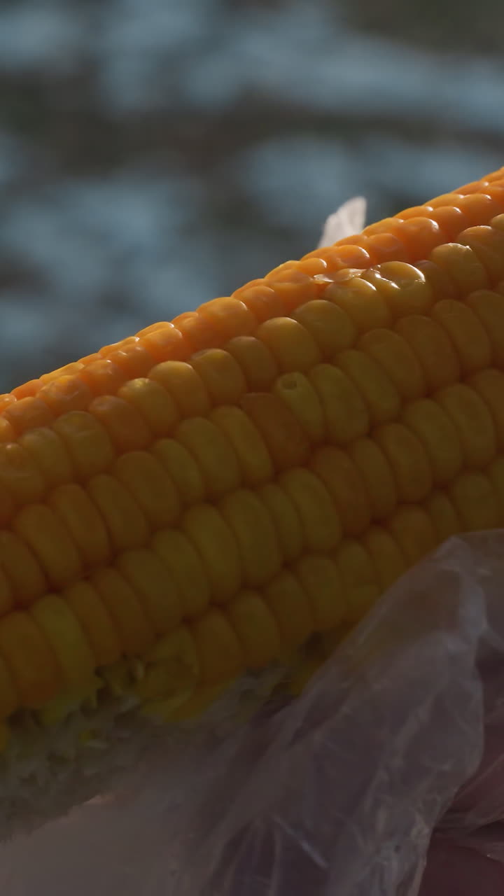 primer plano de maíz sostenido en un palo envuelto en plástico, parcialmente comido con luz bokeh en un fondo borroso, vapor cálido que se eleva, fotografía de comida, bocadillo al aire libre