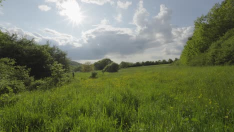 la luz del sol brillando en un tranquilo y exuberante prado en un día de primavera