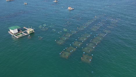 aerial shot of big sea farms in the open sea in tropics. marine farming concept