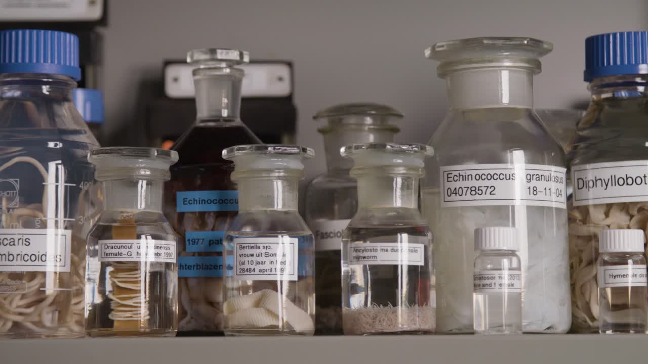 Macro shot of a preserved parasitic worm in a glass jar, labeled and archived in a scientific environment.