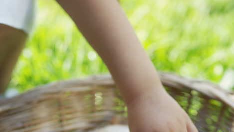 close-up view of a little girl petting two labrador puppies in a basket in the park