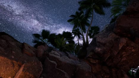 4k hyperlapse star trails over sandstone canyon walls and palms