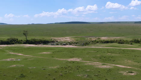 aerial of african savannah and river during sunny day in serengeti