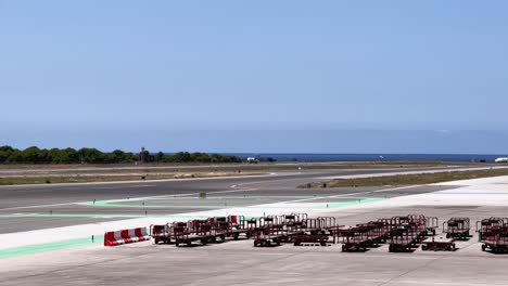 pequeño avión aterrizando en el aeropuerto de ibiza balearic island y carritos de equipaje estacionados en el aeródromo