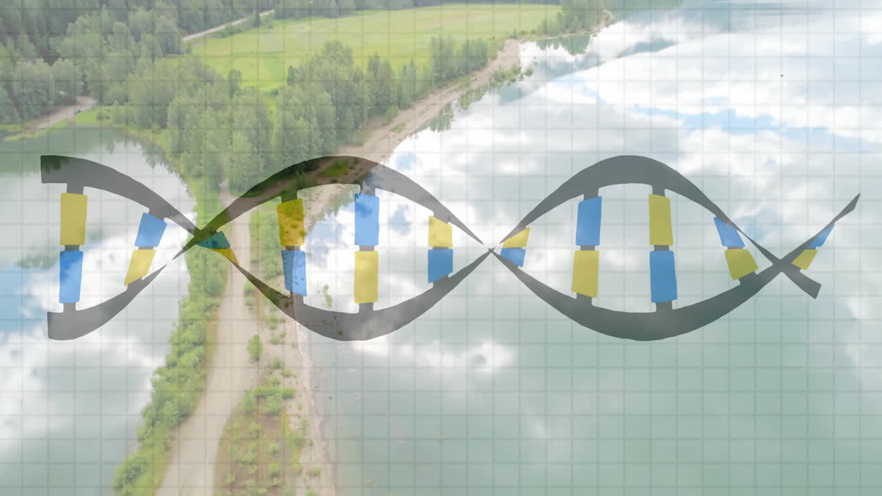 Stylized DNA double helix floating across lake shoreline as 3D render, showing grid overlay