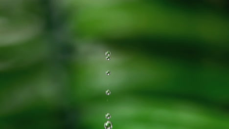 drop of water falling against green natural background