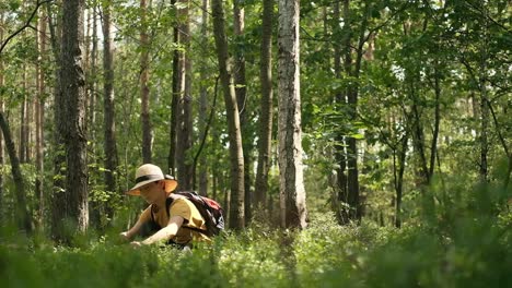 female wearing summer hat picking berries in forest, slow motion