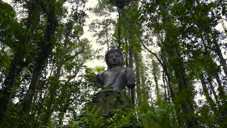 buddha statue in the forest surrounded by tall trees in the jungle