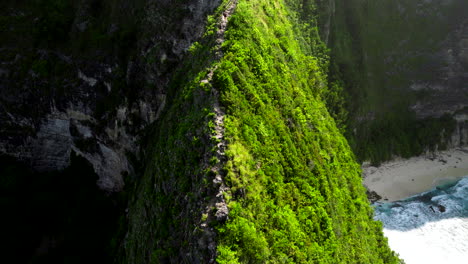 naturaleza de hoja perenne, pico de follaje y roca