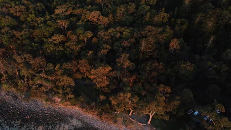 Puesta-De-Sol---Sobre-El-Borde-Del-Parque-Nacional-De-Noosa---Queensland-Australia