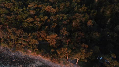 sunset - over the edge of the noosa national park - queensland australia