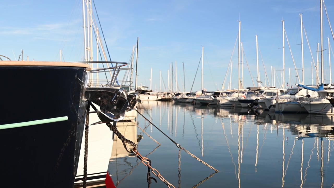Tranquilla scena di un porto turistico con scafi di barche, alberi imponenti e riflessi a specchio sull'acqua calma.