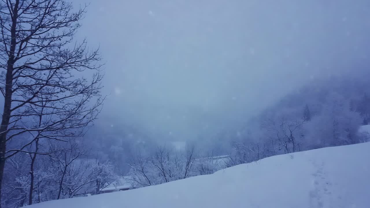 눈  ⁇ 인 겨울 풍경