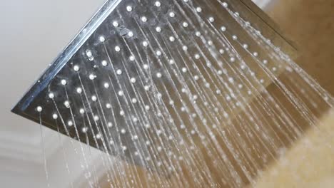showerhead spraying water