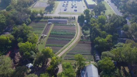 aerial:360 descending view of a working farm in austin, texas filled with rows of vegetables and greenery