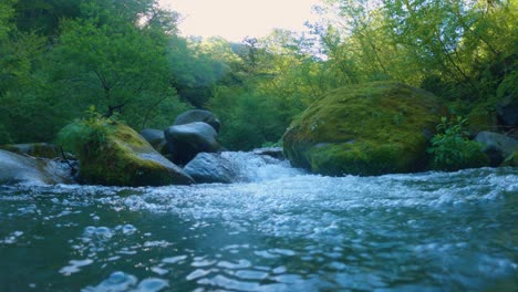 戴森國家公園的河流, 淡水<unk>在框架上