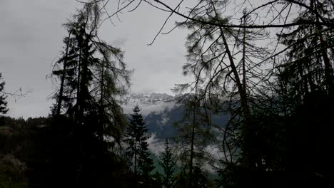 Overcast-spring-shot-of-snowcapped-Alps-in-Switzerland-with-silhouettes-of-tree-branches-and-trunks-in-the-foreground