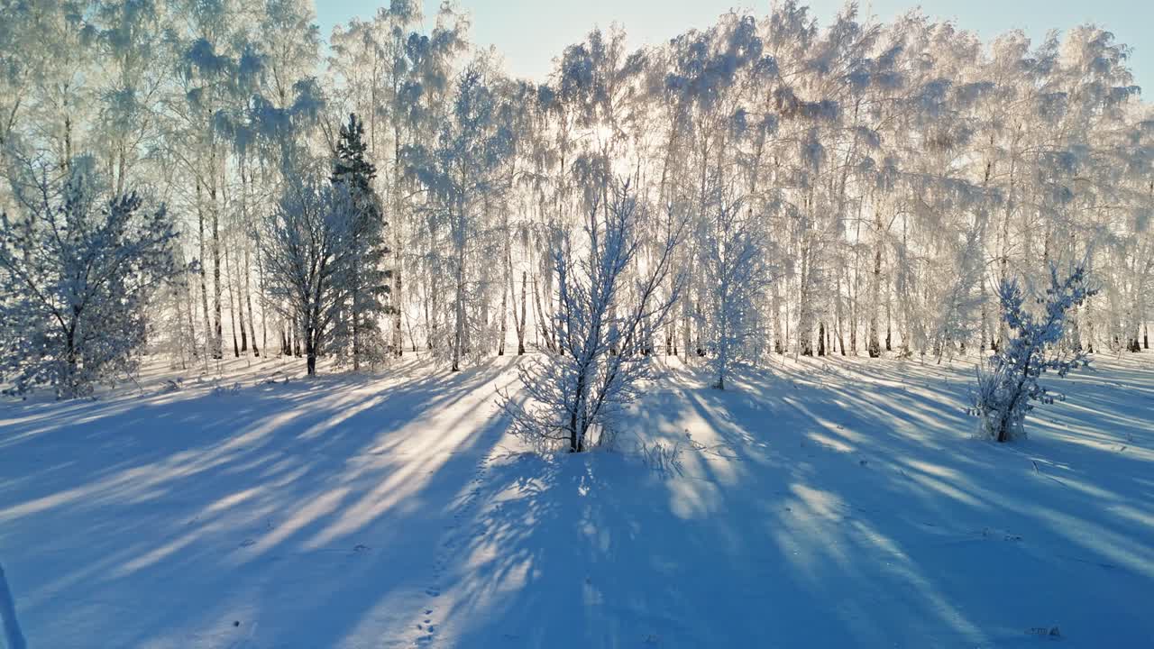 Vinterlandskap med snødekte trær og sollys
