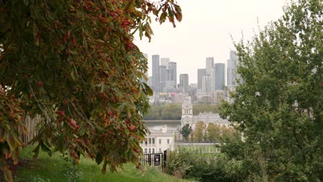 autumn in greenwich park with canary wharf in background