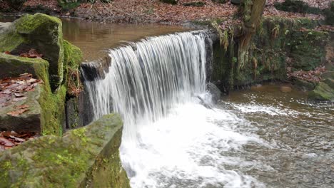 pequeña cascada de cobre del bosque de otoño que se vierte en el bosque desierto arroyo debajo del carro lento a la derecha