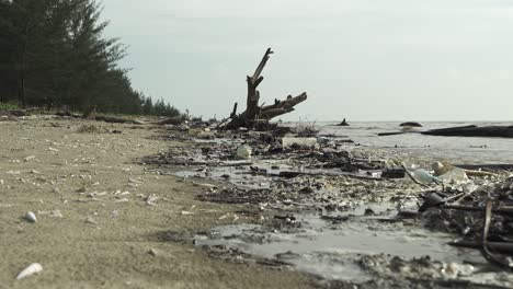 beautiful summer view at kabong beach,white sandy beach,blue sky,sea and green trees.
