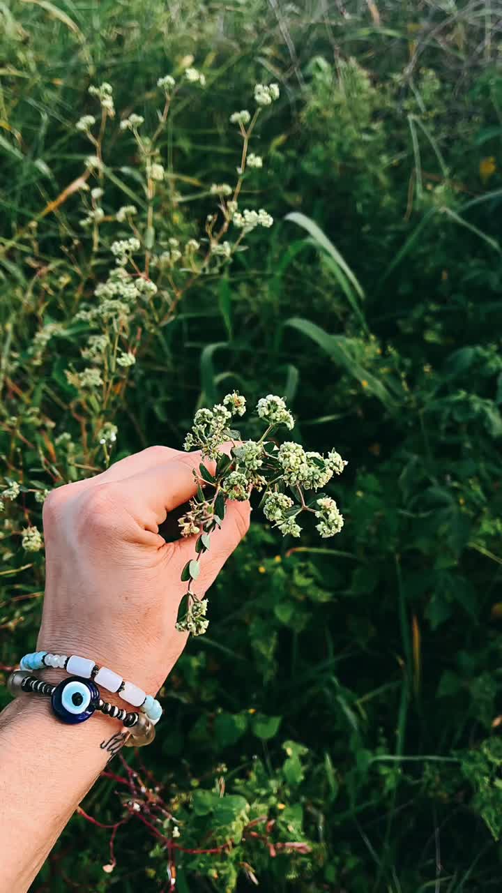 Hand Holding Flowers in a Field