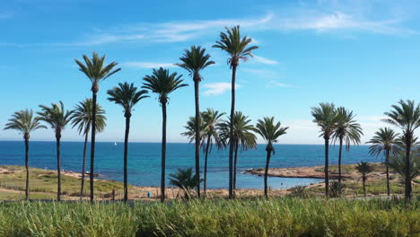 palm trees on the beach coastal hike in spain mediterranean sea sailing boat