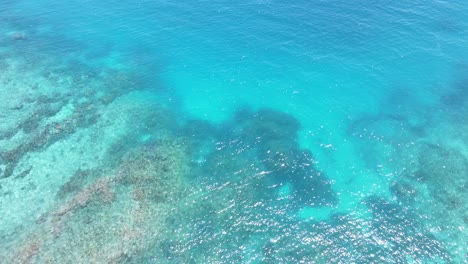 clear turquoise water revealing underwater reef rocks