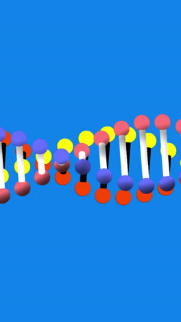 animación de cadenas de adn girando sobre un fondo azul