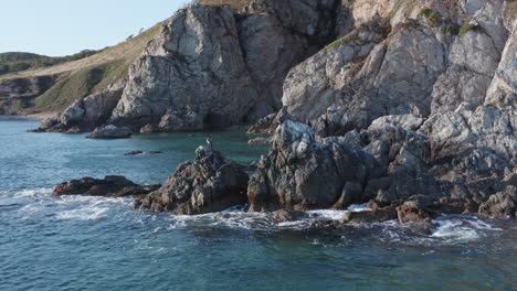 pájaros cormoranes de color oscuro sentados en la cima de las rocas, con olas aplastando las rocas, por la noche