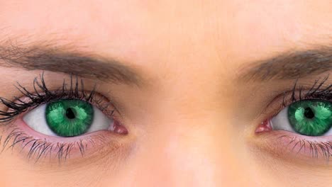 close up of female grey eyes against white background