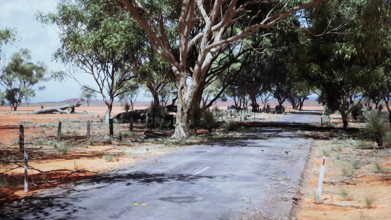 오스트레일리아 외을 가로지르는  빈 도로