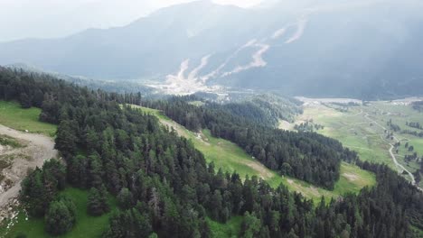 mountainous landscape with forest and ski resort