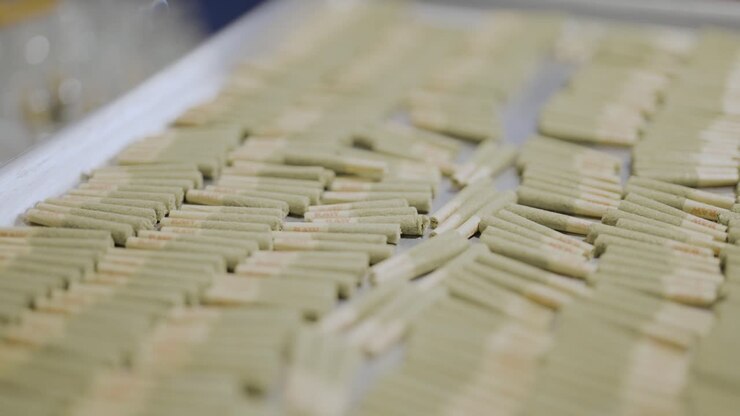 motion shot over Pre-roll Cannabis joints on metal tray, Close-up