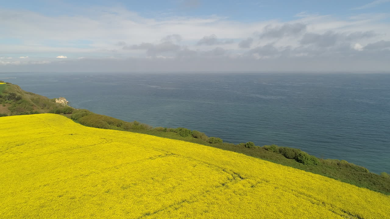 longues-sur-mer rapeseed field 위를 날아다니는 항공기