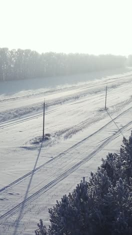 snow-covered landscape with distant trees and power lines, showcasing a serene winter scene with soft light and long shadows across the frozen ground